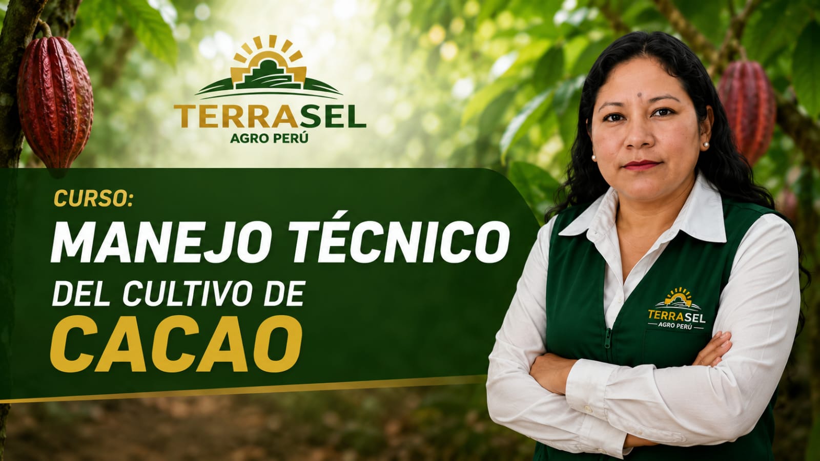 Manejo Técnico del Cultivo de Cacao